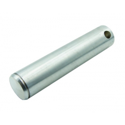 5030029LG Svornjak 30x138 mm za utovarne platforme Anteo